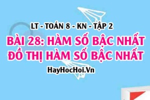 Hàm số bậc nhất là gì? cách vẽ đồ thị hàm số bậc nhất? Toán 8 bài 28 [b28c7kn2]